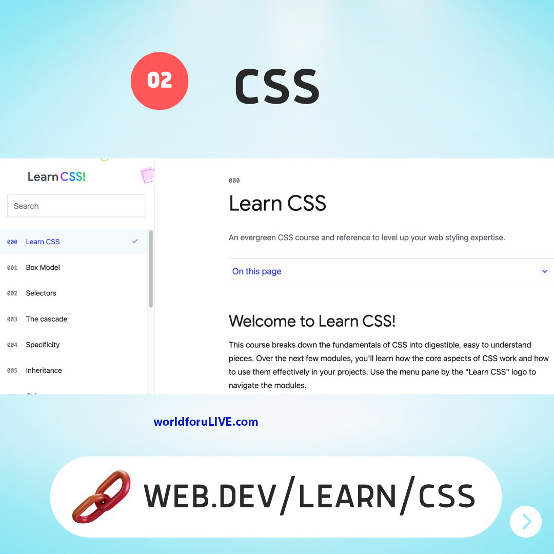 learn-CSS,-worldforumlive.png