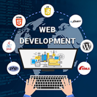 Get A Professional Website Development In Any Industry